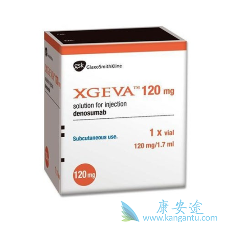 ��ŵ����