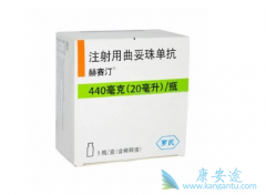 ���ٰ�����ҩ����˺���͡(Herceptin)������Щ��