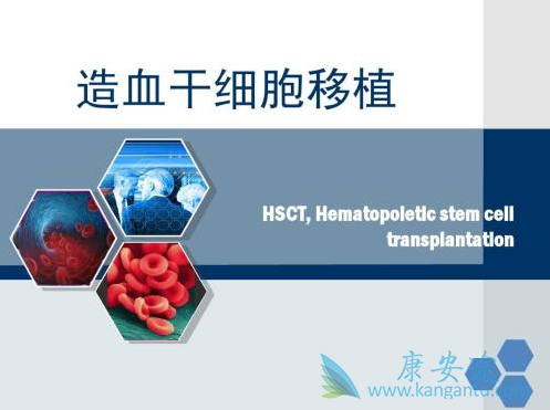 ��Ѫ��������ֲ