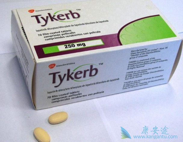 拉帕替尼 拉帕替尼