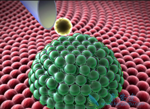 ����֯����