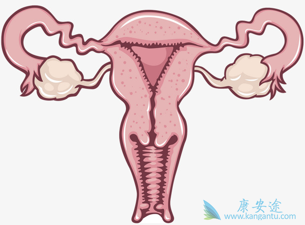 ��������ԭ��