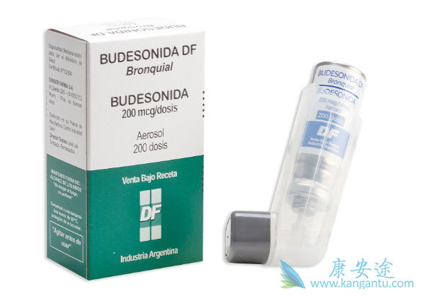 布地奈德 布地奈德