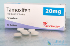 ��Ī����(Nolvadex)��Ŀ��Խ��͸�Σ��Ⱥ�����ٰ��ļ�����