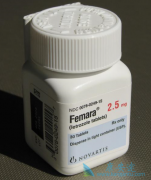 ������(Letroz)�뱴����������������޽�չ��������