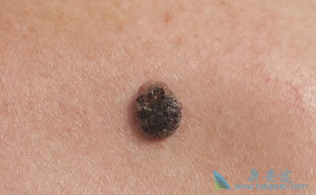 ��ɫ����