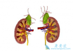 ����ת�Ƶ���ͬ��λ����ν������ƣ�