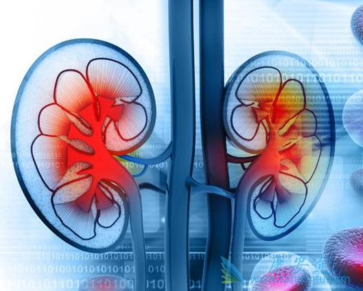 ����ת��