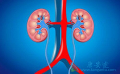 ����ת�Ƶ��Բ�֮������Щ֢״����������ƣ�