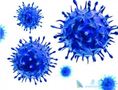 ������Τ��(dolutegravir)�ĸ���������Щ��