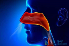 ���˱��ʰ��ܻ��ã����κ���