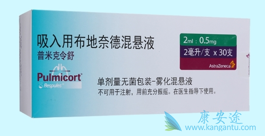 布地奈德 布地奈德