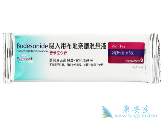 布地奈德 布地奈德