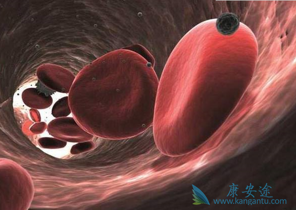 �෢�Թ�����������