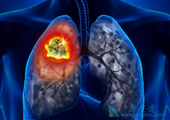 �ΰ�������ѡ�������ƻ��Ƿΰ����ƣ�