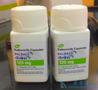 ������/��������ĸ�����������ϸ������֢������