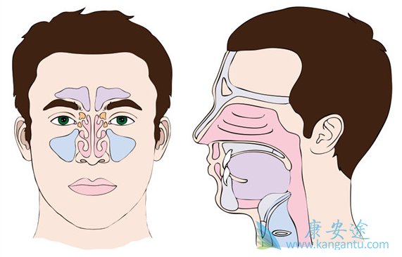 ���ʰ������