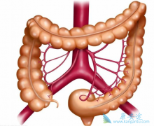 Ϊ����ЧԤ���󳦰��ķ���������Ҫ����Щ��飿