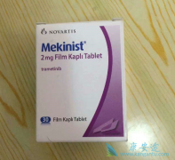 MEK���Ƽ������������������ٵ����ٰ���