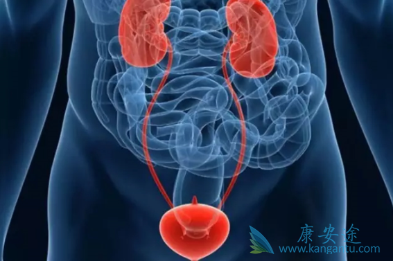 ��ɳ����