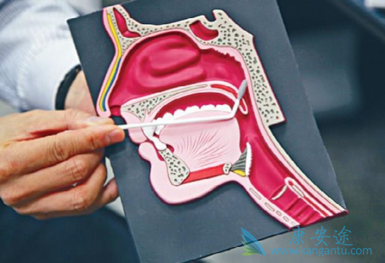 ���ʰ�����