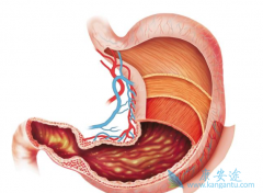 �����鵥��������θ��������Ч������