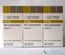 ��������������ÿ��ڲ�Ӱ��Ԥ�������¼��ٲ����¼��ķ���