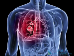 ��Сϸ���ΰ����߽��ܰ������ƺ���������ж�ã�