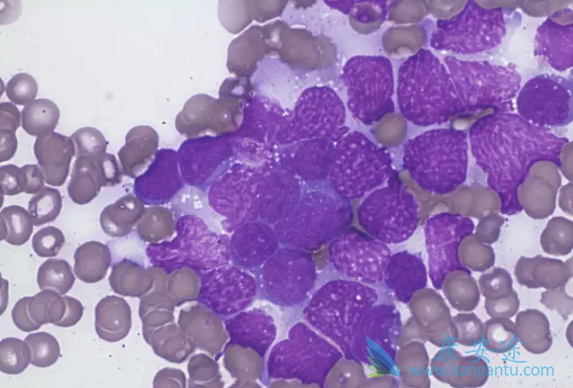 �෢�Թ���������