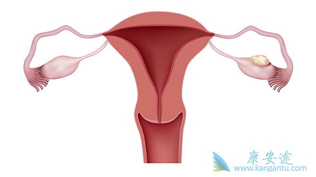 �ѳ�������