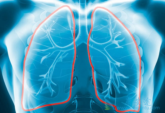 肺部疾病 肺部疾病