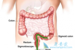 ��ֱ�����İ�������ҩ������Щ��