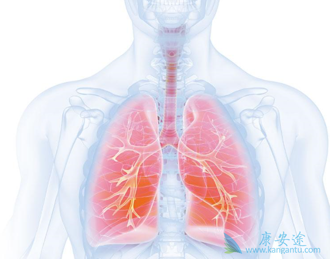 ��Сϸ���ΰ�