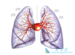 �����Է������Ʋ���ʱ������������ЩΣ����