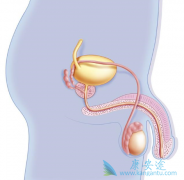 ǰ���ٰ�����ʲôʱ��ʹ�ö�������Ч���ã�