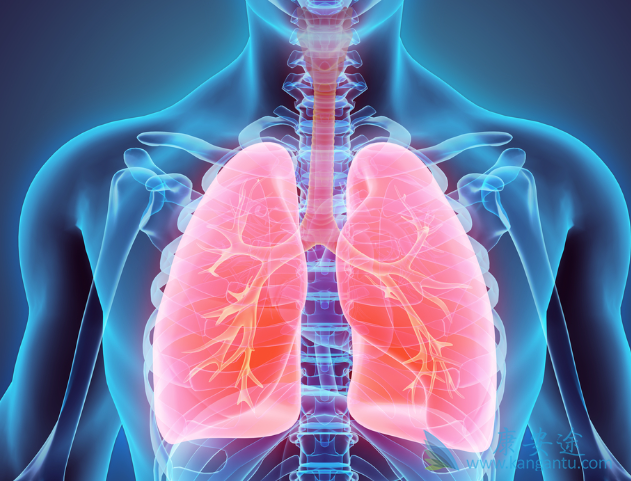 ��Сϸ���ΰ�