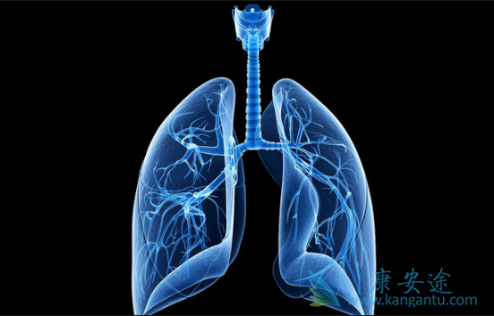 ����ά���ܻ���