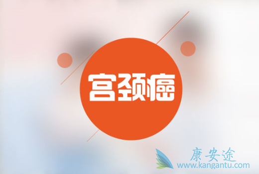 ��������ԭ��