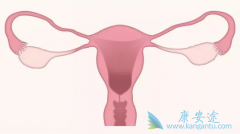 PET/CT��Ԥ�ⱴ�������Թ����۰�����Ч��