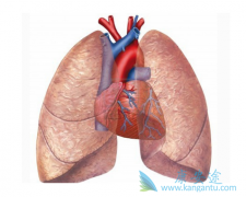 �ζ�����ѹ�ĳ���֢״��������Щ��