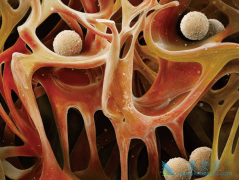 ���������κ����������Ƕ��٣�