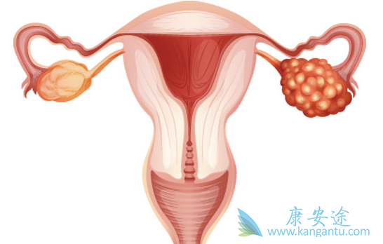 �ѳ���������