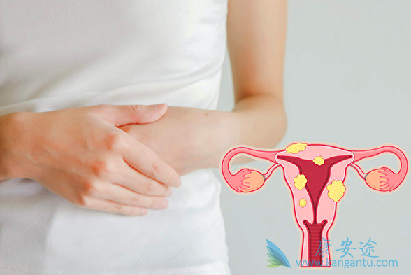 妇科肿瘤 妇科肿瘤