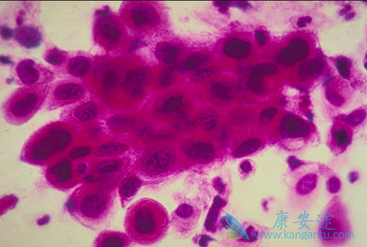 ���ƹ�����