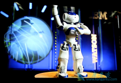 IBM WATSONҽ���˹����ܵ�Ӧ��ǰ���ݲ�����