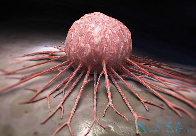 �����������������������