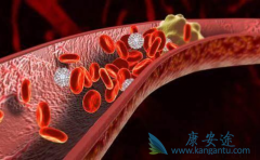 ���ܶ�֬���׵��̴�������������ЩΣ����