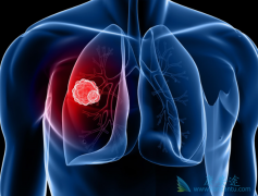 ��ͬʱ�ڵ�Сϸ���ΰ�������������ͬ