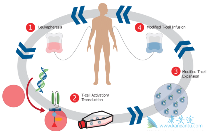 ϸ�����ӷ籩