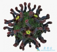 ��������ײ�������������Ƹ����������